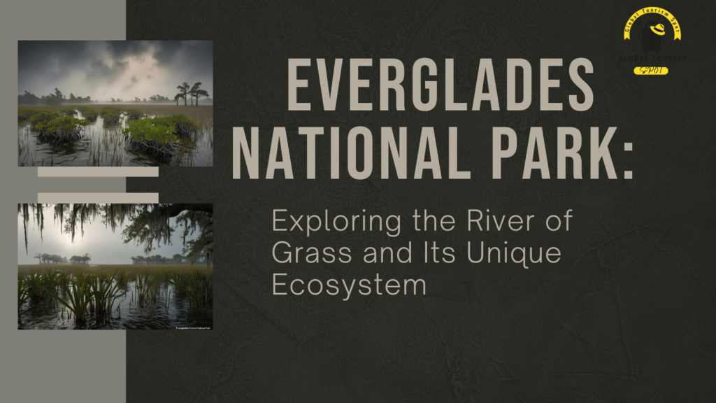 Everglades National Park: Exploring the River of Grass and Its Unique Ecosystem